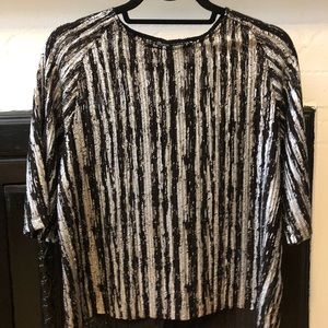 Zara Metallic Top